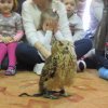 Rok 2015-2016 - Grupa Żabki poznaje ptaki - z wizytą w przedszkolu